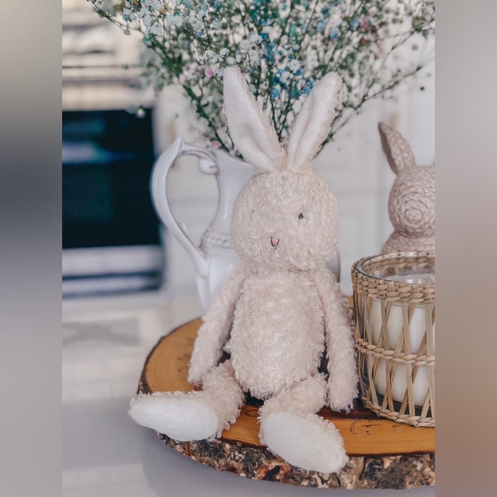 Bunnies by the Bay Bunny Rabbit
Plush Soft Baby Toy Stuffed Animal
Cream White